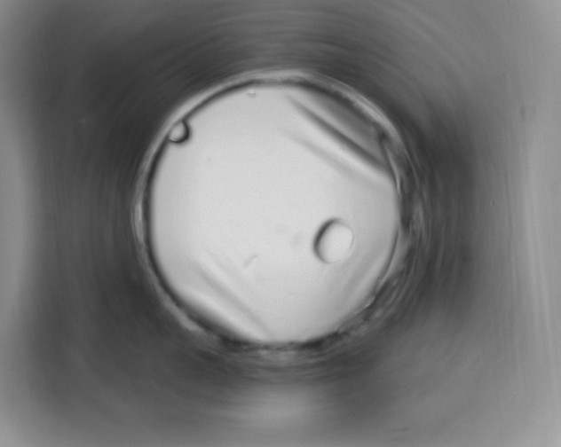 X0000115160959200911241546