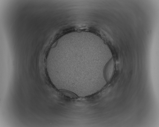 X0000115160961200911241546