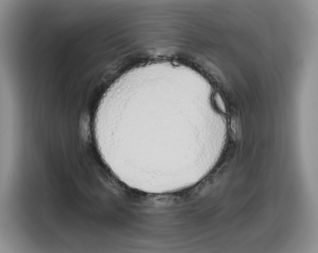 X0000115160963200911241546