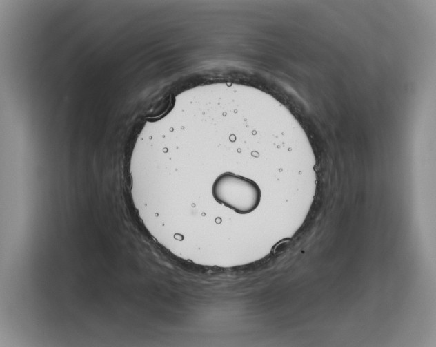 X0000115160965200911241546