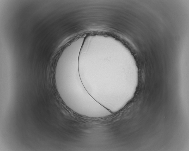 X0000115160968200911241546