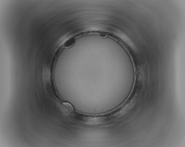 X0000115160969200911241546