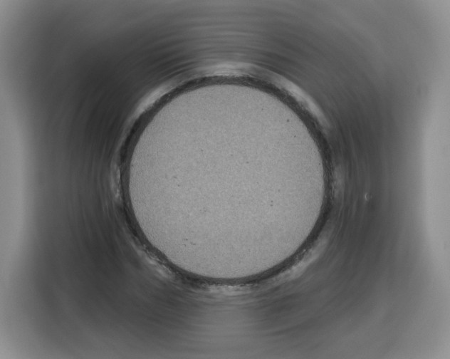 X0000115160970200911241545