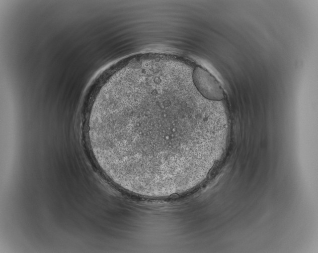 X0000115160971200911241545