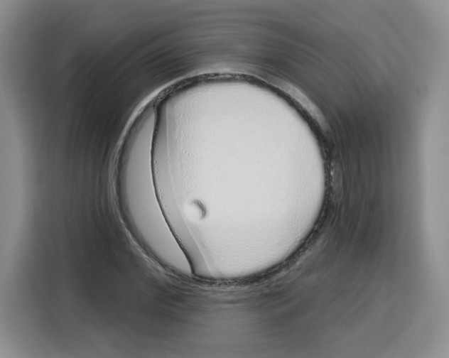 X0000115160972200911241545