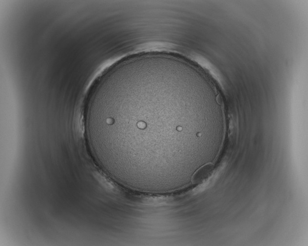 X0000115160973200911241545