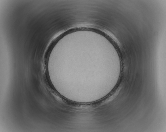 X0000115160974200911241545