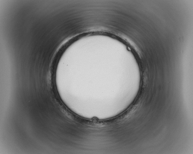 X0000115160975200911241545