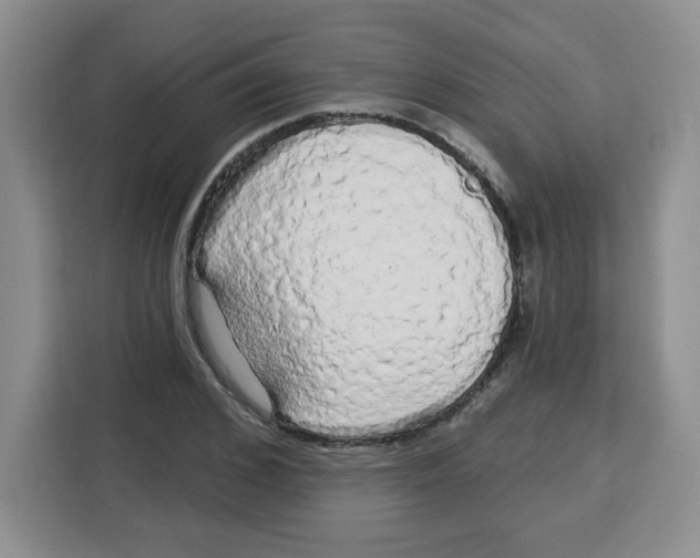 X0000115160976200911241545