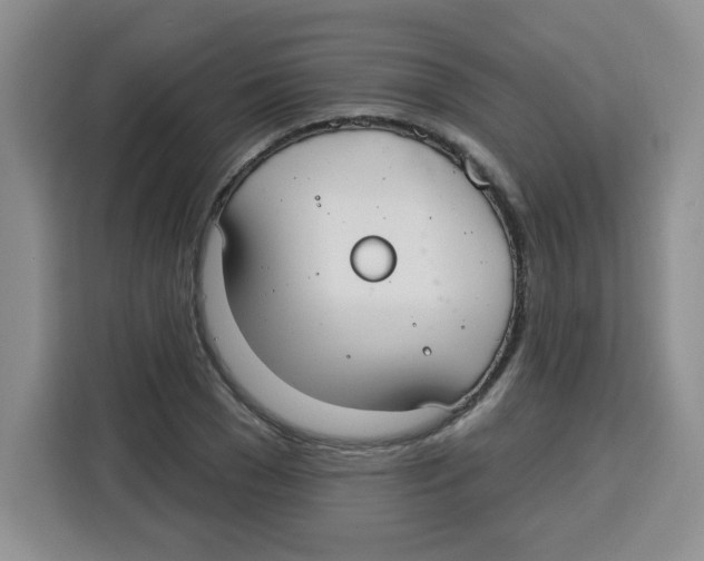 X0000115160977200911241545