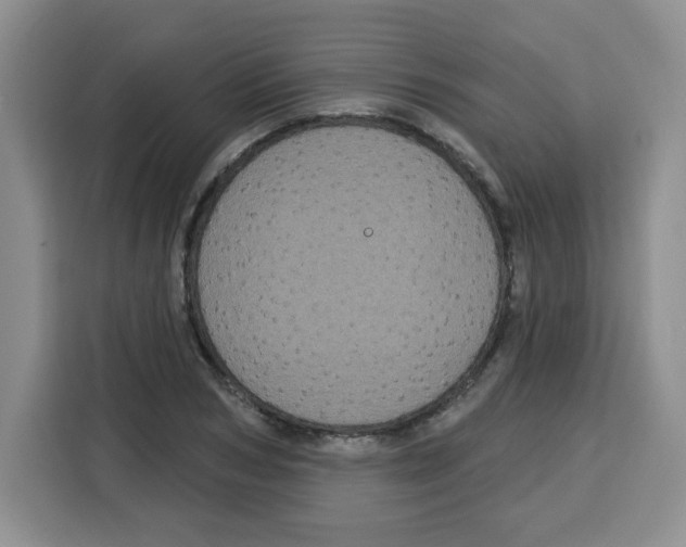 X0000115160978200911241545