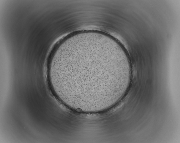 X0000115160979200911241545