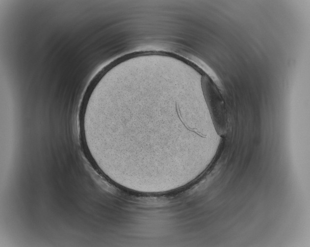 X0000115160980200911241545