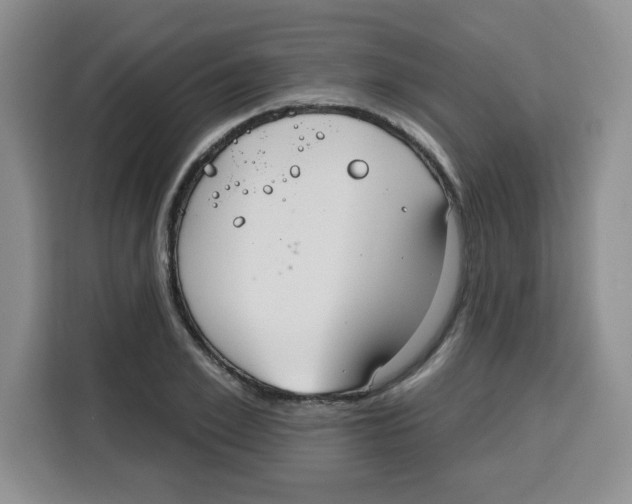 X0000115160981200911241545