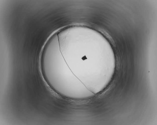 X0000115160984200911241545