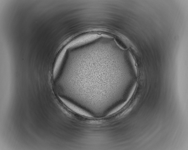 X0000115160985200911241545