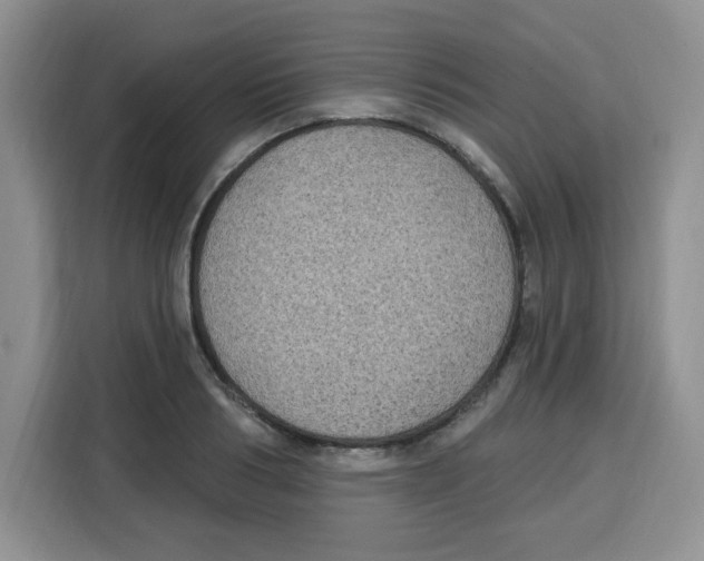 X0000115160986200911241545