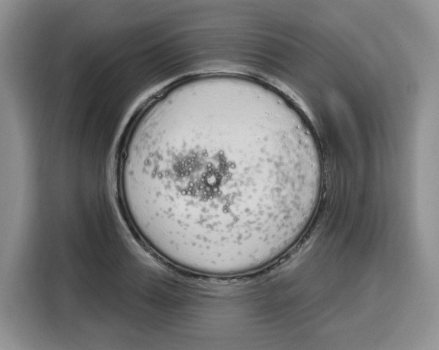 X0000115160987200911241545