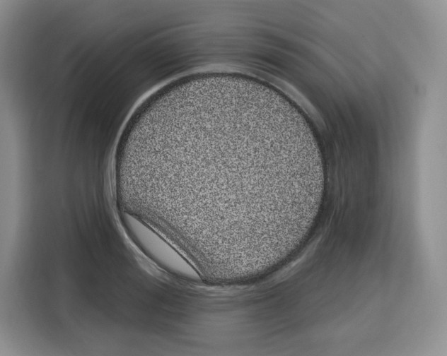 X0000115160988200911241545