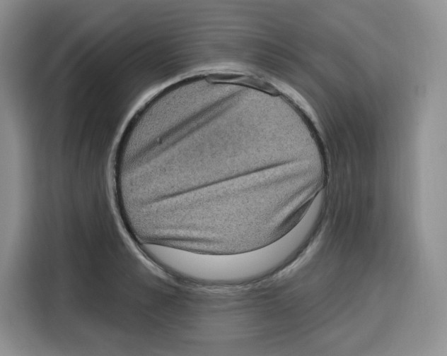 X0000115160989200911241545