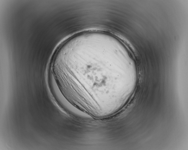 X0000115160991200911241545