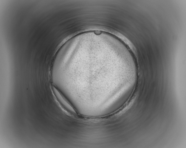 X0000115160993200911241545