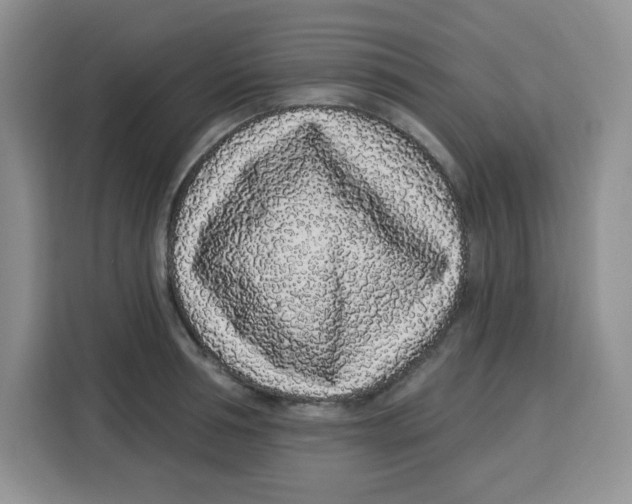 X0000115160994200911241545