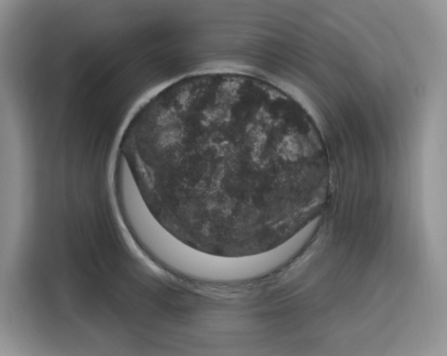 X0000115160995200911241545