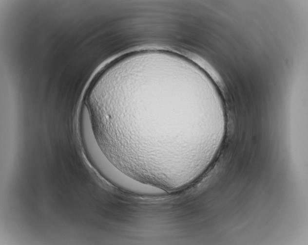 X0000115160996200911241545