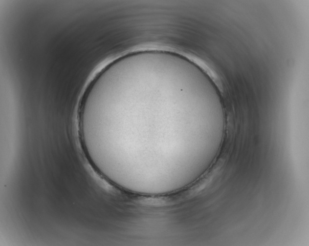 X0000115160998200911241545