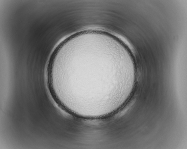 X0000115160999200911241545