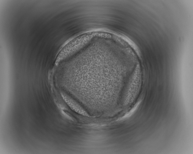 X0000115161001200911241545