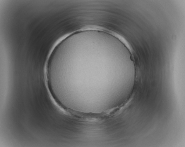 X0000115161003200911241545