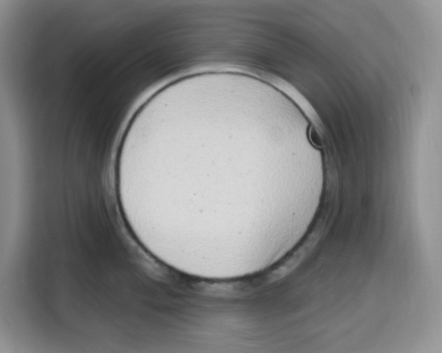 X0000115161004200911241545