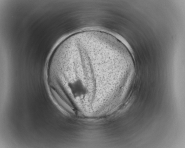 X0000115161005200911241545