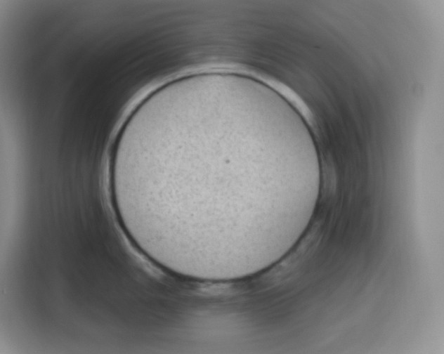 X0000115161006200911241545