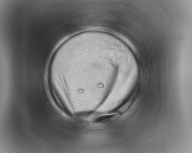 X0000115161007200911241545