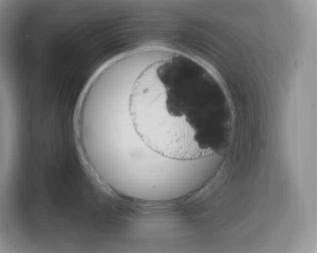 X0000115161008200911241545