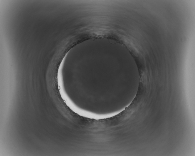 X0000115161009200911241544