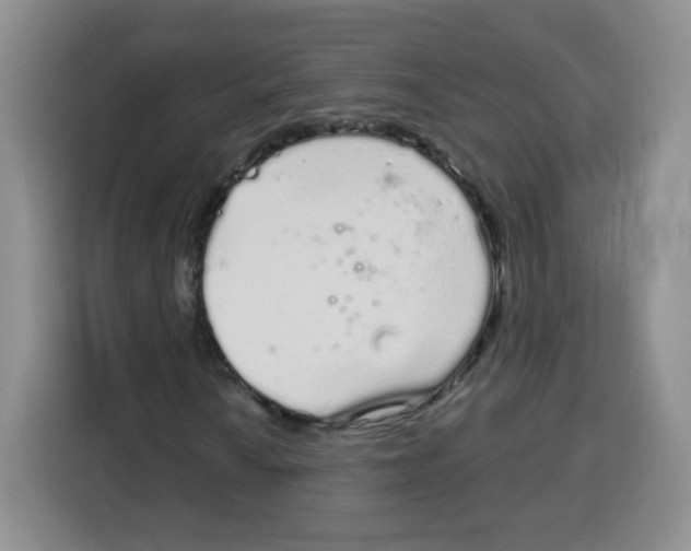 X0000115161010200911241544