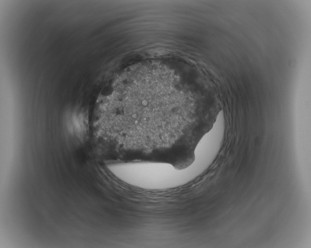 X0000115161011200911241544