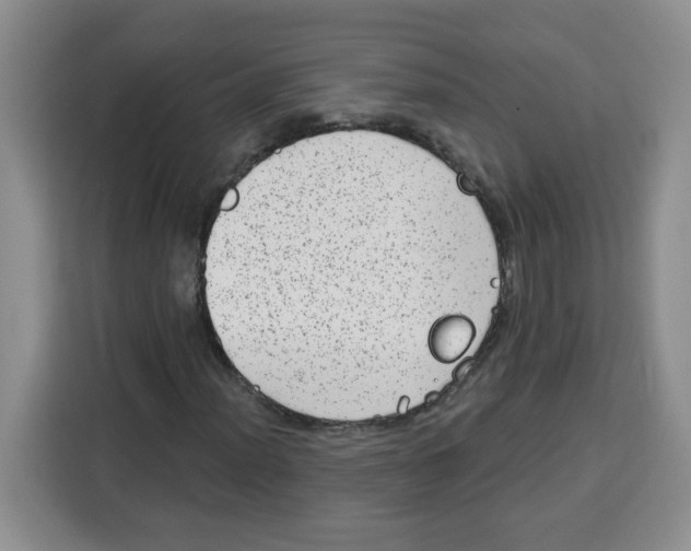 X0000115161012200911241544