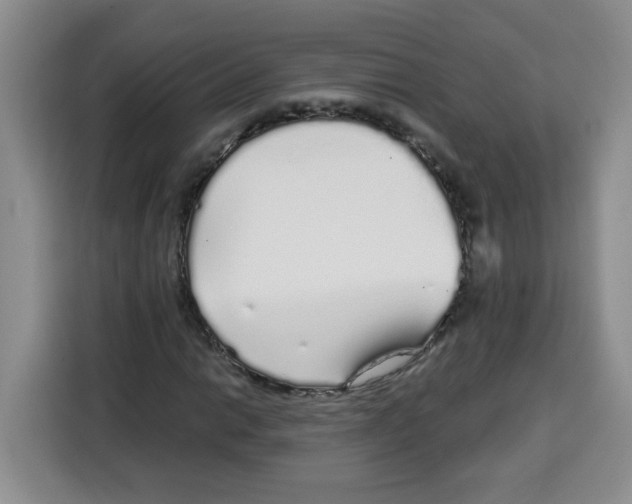 X0000115161014200911241544