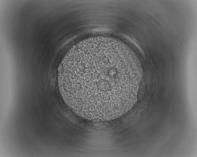 X0000115161015200911241544