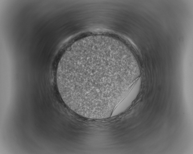 X0000115161016200911241544