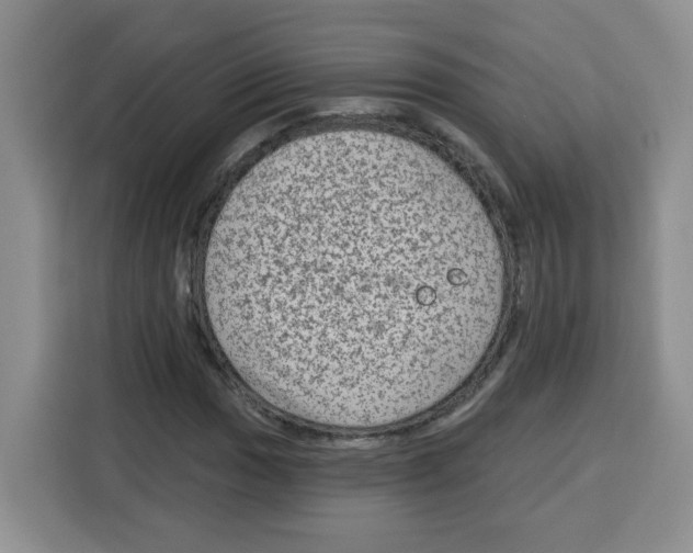 X0000115161017200911241544