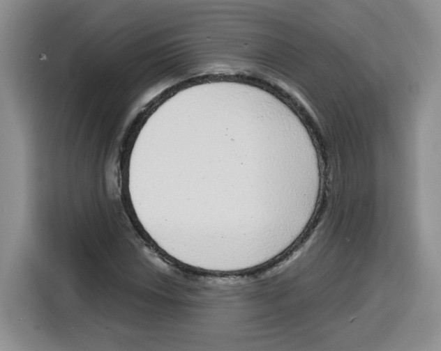 X0000115161018200911241544