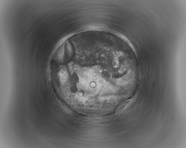 X0000115161019200911241544