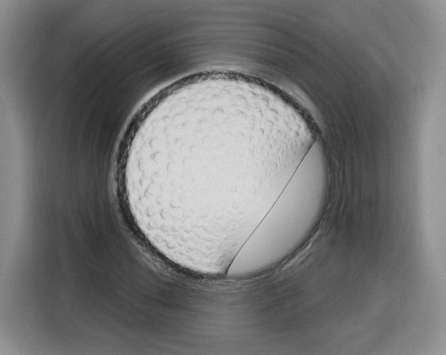 X0000115161020200911241545