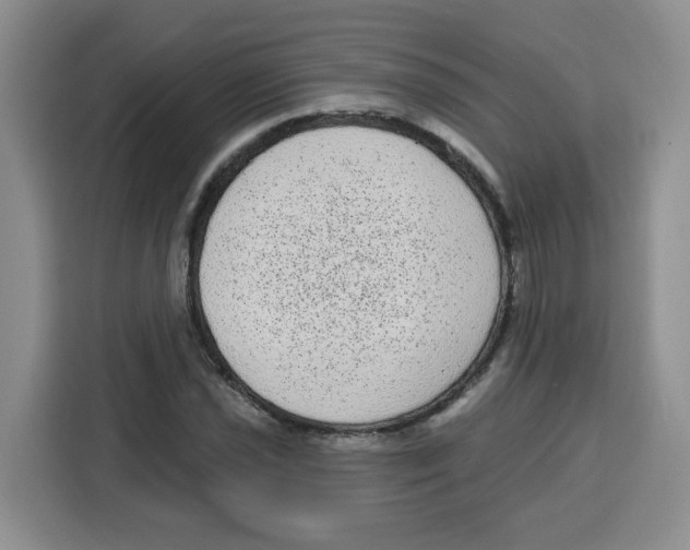 X0000115161021200911241545